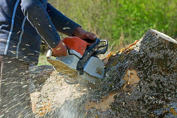 Best Aeration Services  in Pixley, CA